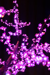 Tree branches iluminated by Christmas lights