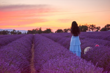 woman portrait in lavender flower fiel