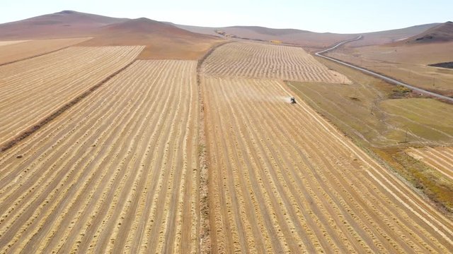 Harvester machine work on cereal farm land, Argun city, Inner Mongolia, China, Asia.