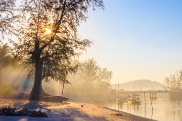 Misty morning on a river estuary