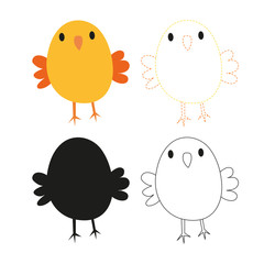 bird worksheet vector design