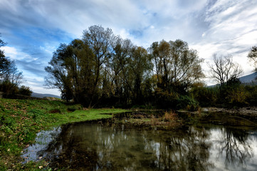 Fototapeta premium landscape with river and trees