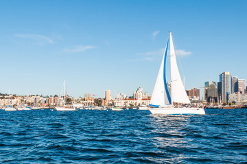 A sailboat in the San Diego harbor with the downtown skyline in the background.