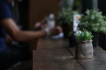 man holding flower in garden