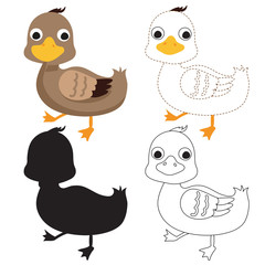 duck worksheet vector design