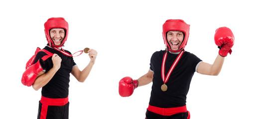 Funny boxer isolated on the white