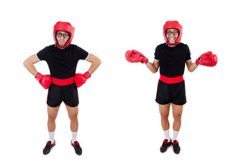 Funny boxer isolated on the white