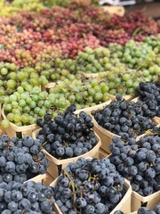 Red, green, and purple organic bunches of grapes for sale at vineyard farmstand