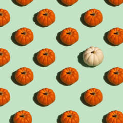 Orange and White Pumpkin Pattern
