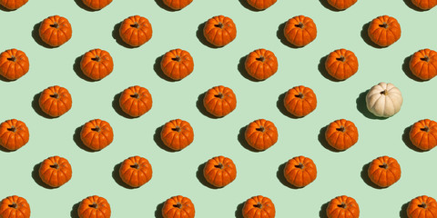 Orange and White Pumpkin Pattern