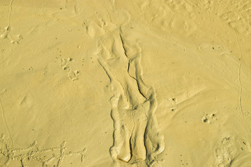 mud art color background
