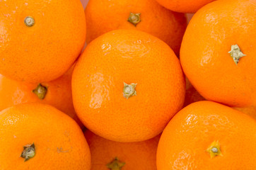 温州みかん アップ