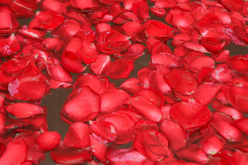 Rose bath