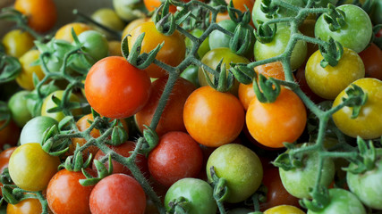 close up of Fresh tomato vegatable for food backgrounds