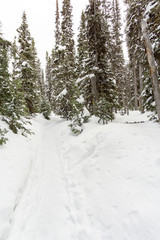 Fototapeta premium Snow covered mountain trail for snow shoeing