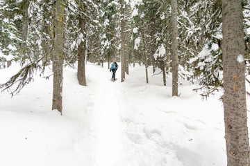 Naklejka premium Hiker snow shoeing on trail