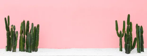 Poster Panorama Cactus op roze pastel background.hipster stijl. © Pornpawit