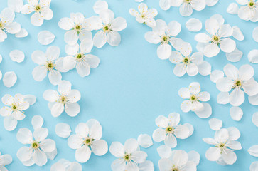 cherry flowers on paper background