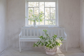 spring flowers in basket on white wooden bench