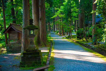 Obraz premium Oyama Shrine in Tateyama-machi, Japan. Japan is a country located in the East Asia.