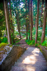 Oyama Shrine in Tateyama-machi, Japan. Japan is a country located in the East Asia.