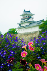 Toyama castle in Toyama, Japan. Japan is a country located in the East Asia.