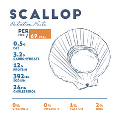 Nutrition facts of scallop, hand draw sketch vector.