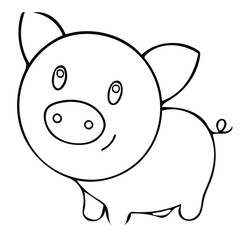 Pig