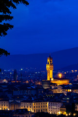 Fototapeta na wymiar フィレンツェの夜景