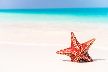 Fototapeta na wymiar Tropical white sand with red starfish in clear water