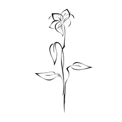 one decorative flower on the stem with leaves in black lines on white background