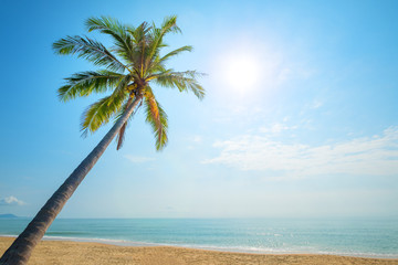 Beautiful landscape of coconut palm tree on tropical beach (seascape) in summer. Summer background concept.