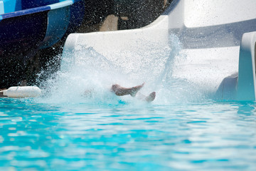 The boy is falling in to the pool from the water slide. His legs are above the water and a lot of...