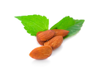 Almond isolated on white
