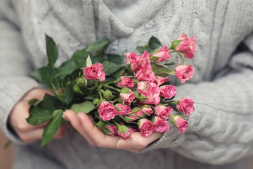 bouquet of bush of roses in female hands on a background
