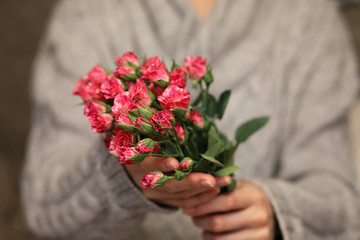 bouquet of bush of roses in female hands on a background