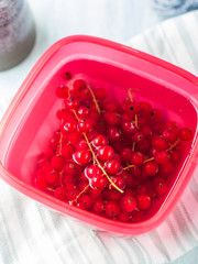 Red currant washed in water in bowl