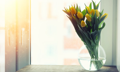 A bouquet of red tulips in a vase on the windowsill. A gift for a woman's day from red tulip flowers. Beautiful red flowers in a vase by window.