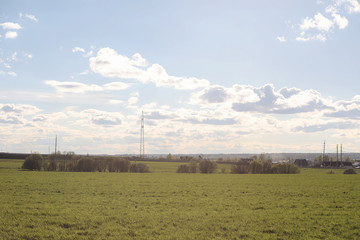 Landscape is summer. Green trees and grass in a countryside landscape. Nature summer day. Leaves on the bushes.