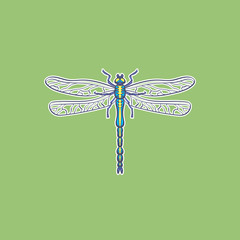 Dragonfly. illustration in vector 