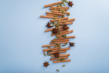 Ceylon cinnamon tree sticks, star anise, and cardamom seeds on blue background, top view