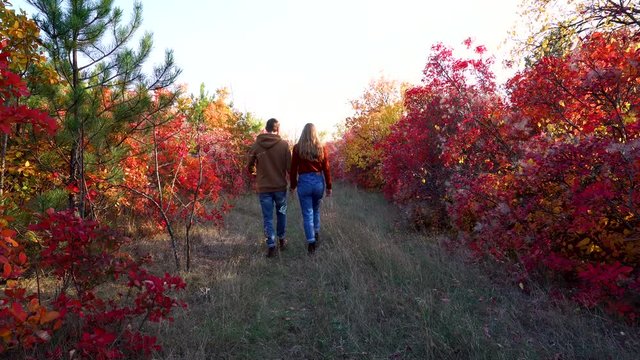 Romantic couple loving man and young woman in casual clothes walking along colorful leaf trees alley in autumn forest