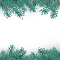 Fir branch border pattern. Winter holiday decoration element on white background with copy space for greeting text. Vector illustration