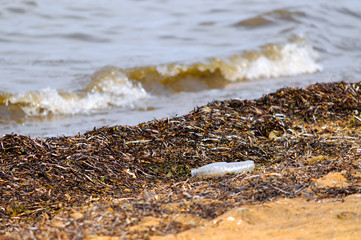 Plastic bottle lying on the beach, shallow depth of field