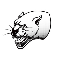 Illustration of pantera head. Design element for poster, card, banner, t shirt sign, emblem. © liubov