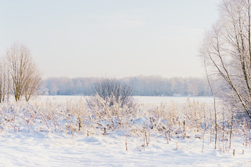 Daylight winter snowy landscape