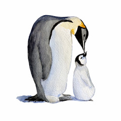 Fototapeta premium Watercolor mother and baby penguins.