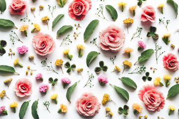 Colorful Flowers On White Background