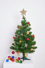 Christmas Tree Concept Interior Room with Decoration on White Background.
