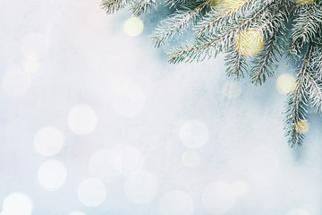 Fir branches on a blue background with bokeh lights.